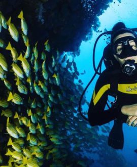 Scuba Diving